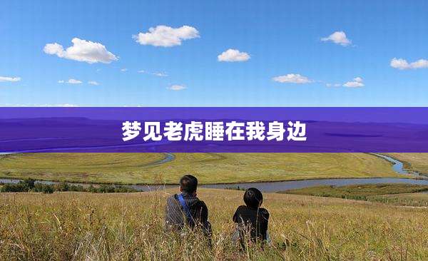 梦见老虎睡在我身边