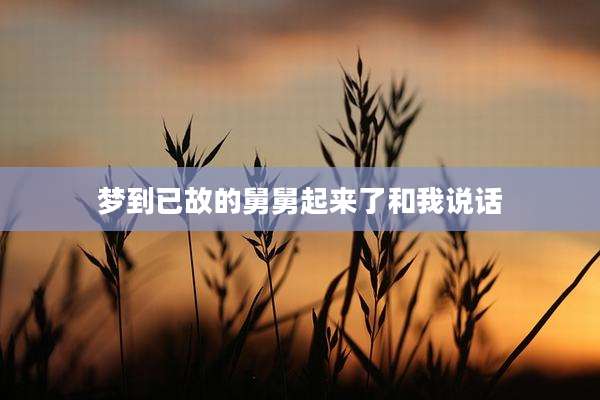 梦到已故的舅舅起来了和我说话