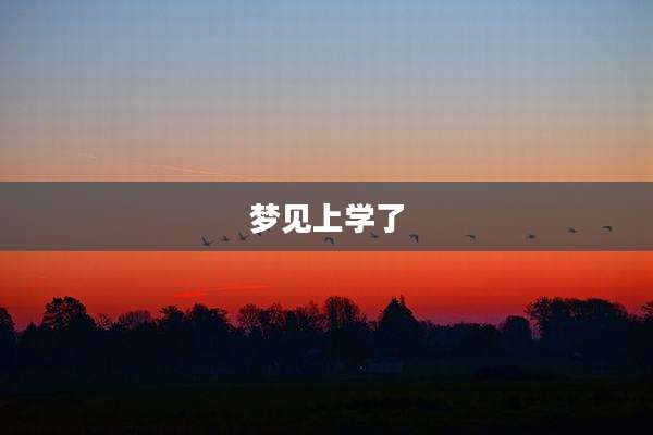 梦见上学了
