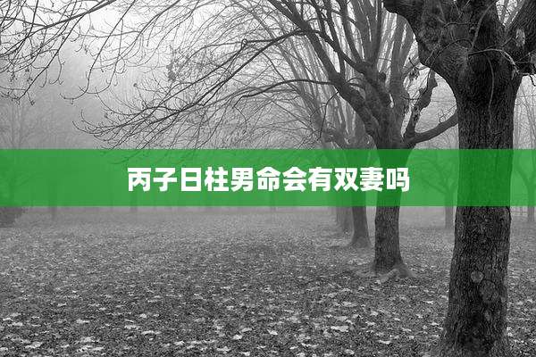 丙子日柱男命会有双妻吗