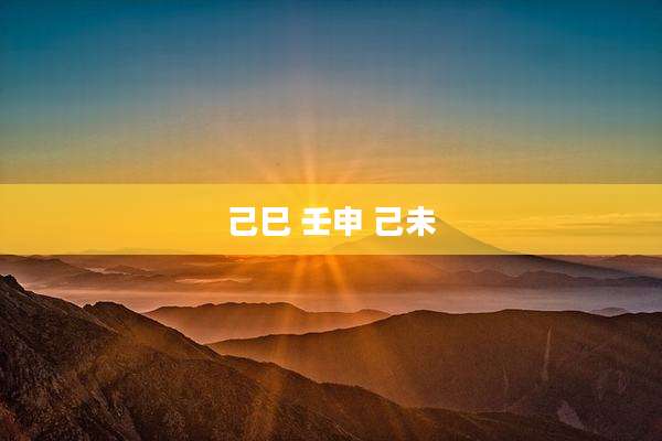 己巳 壬申 己未