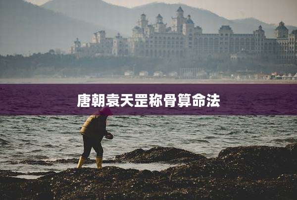 唐朝袁天罡称骨算命法