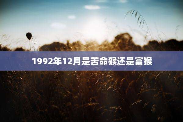 1992年12月是苦命猴还是富猴