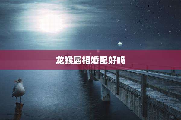 龙猴属相婚配好吗