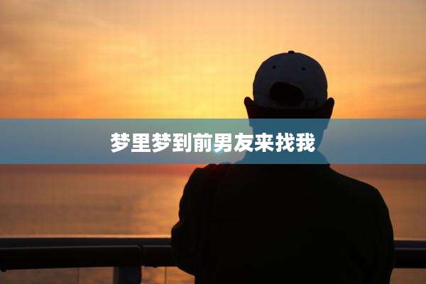 梦里梦到前男友来找我