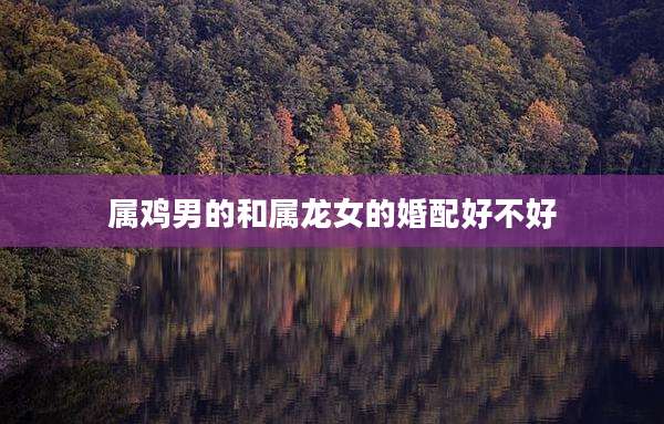 属鸡男的和属龙女的婚配好不好