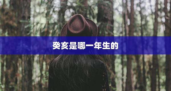 癸亥是哪一年生的