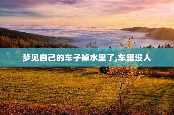 梦见自己的车子掉水里了,车里没人