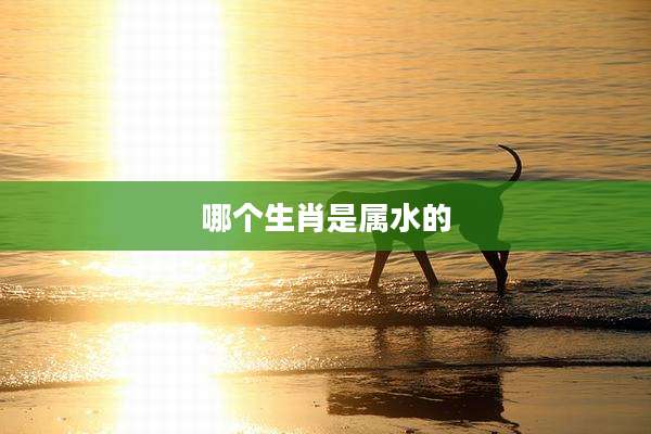 哪个生肖是属水的