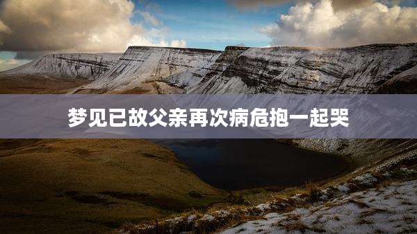 梦见已故父亲再次病危抱一起哭