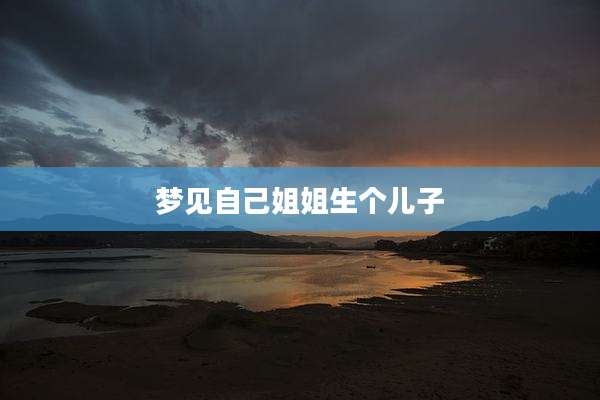 梦见自己姐姐生个儿子