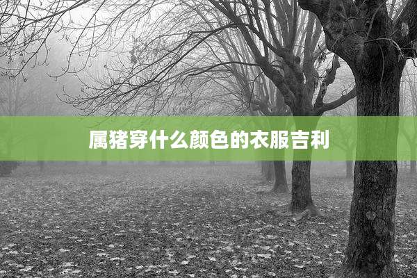 属猪穿什么颜色的衣服吉利