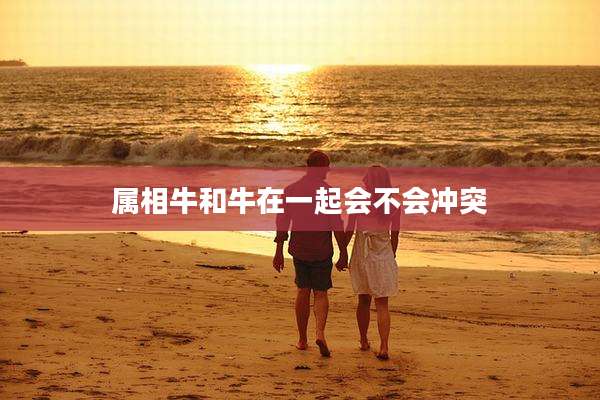 属相牛和牛在一起会不会冲突