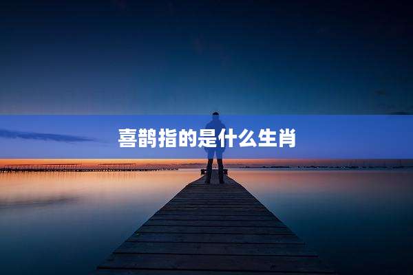 喜鹊指的是什么生肖