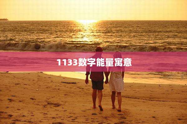 1133数字能量寓意