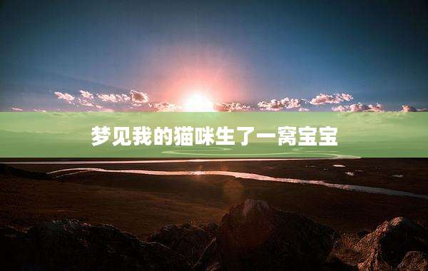 梦见我的猫咪生了一窝宝宝