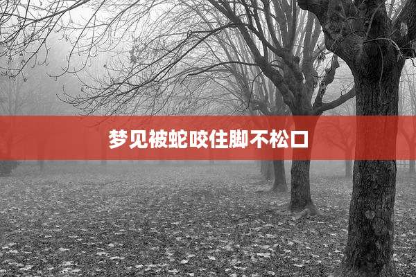 梦见被蛇咬住脚不松口