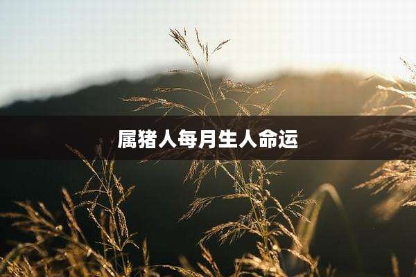 属猪人每月生人命运