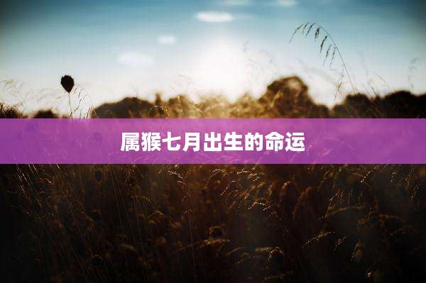 属猴七月出生的命运