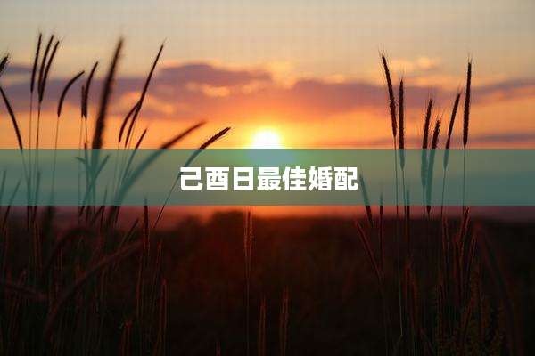 己酉日最佳婚配