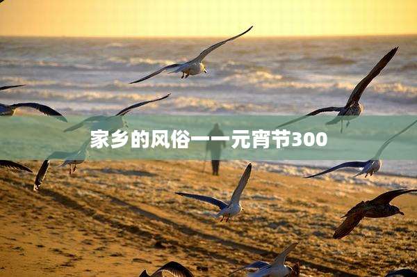 家乡的风俗一一元宵节300