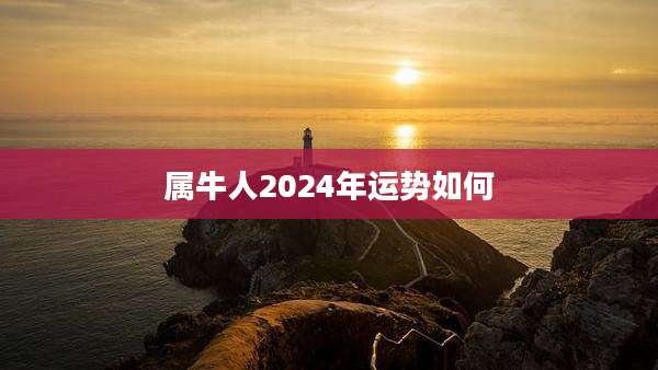 属牛人2024年运势如何