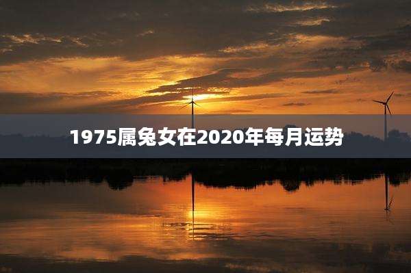 1975属兔女在2020年每月运势