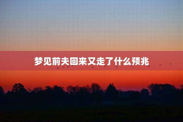 梦见前夫回来又走了什么预兆