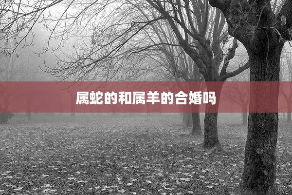属蛇的和属羊的合婚吗