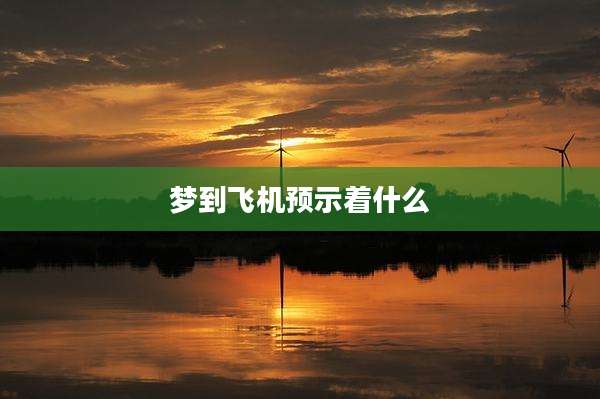 梦到飞机预示着什么