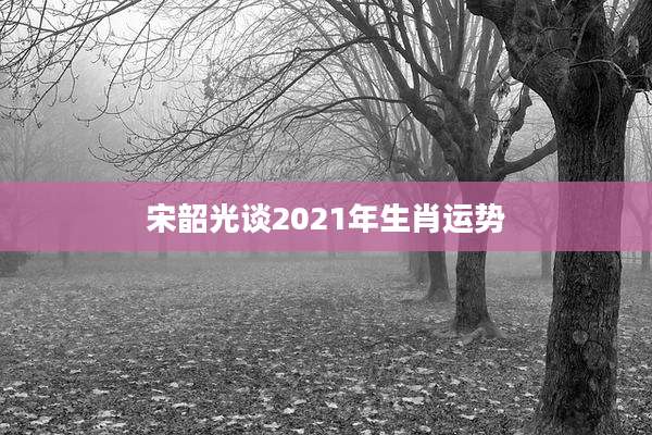 宋韶光谈2021年生肖运势