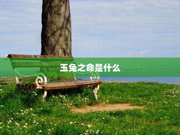 玉兔之命是什么