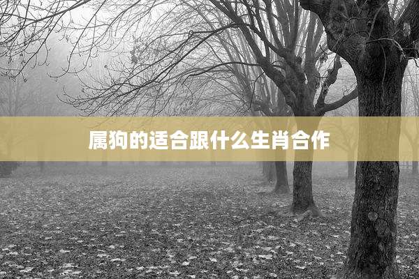 属狗的适合跟什么生肖合作