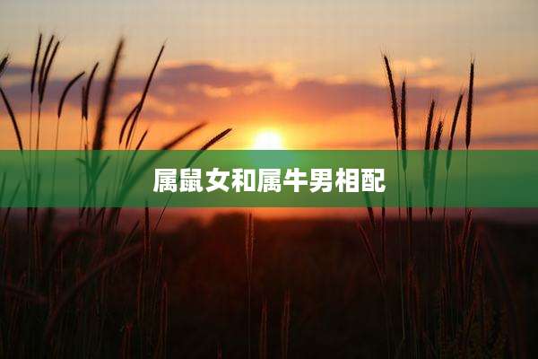 属鼠女和属牛男相配