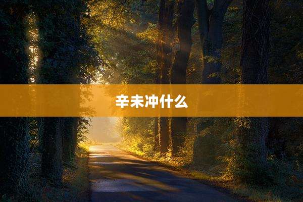 辛未冲什么