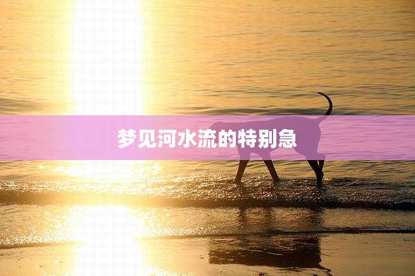 梦见河水流的特别急