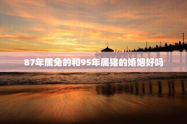 87年属兔的和95年属猪的婚姻好吗