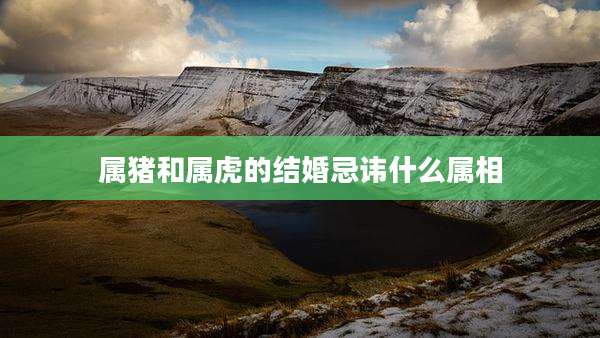 属猪和属虎的结婚忌讳什么属相