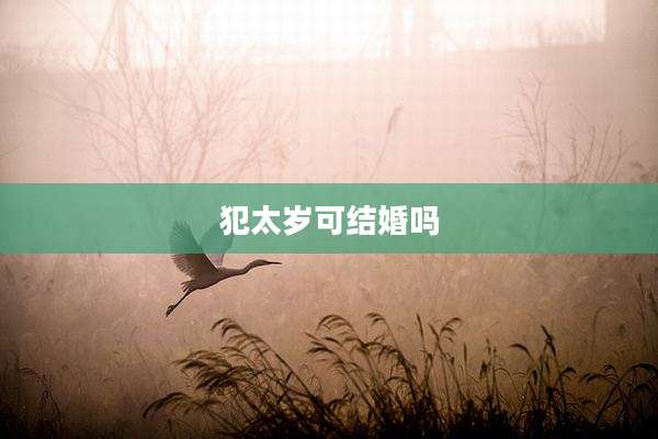 犯太岁可结婚吗