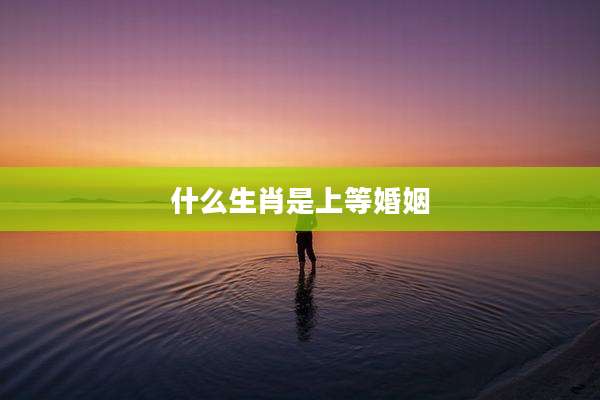 什么生肖是上等婚姻