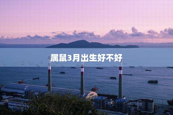 属鼠3月出生好不好