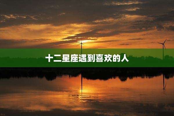 十二星座遇到喜欢的人
