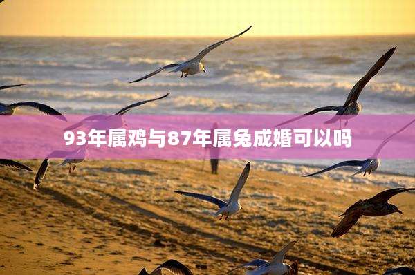 93年属鸡与87年属兔成婚可以吗