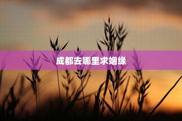 成都去哪里求姻缘