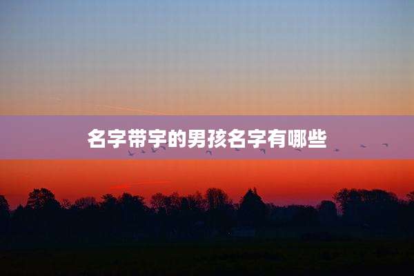 名字带宇的男孩名字有哪些