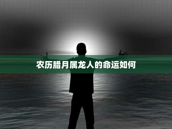 农历腊月属龙人的命运如何
