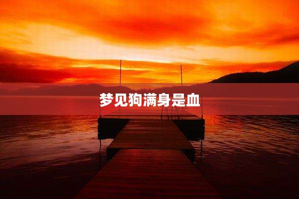 梦见狗满身是血