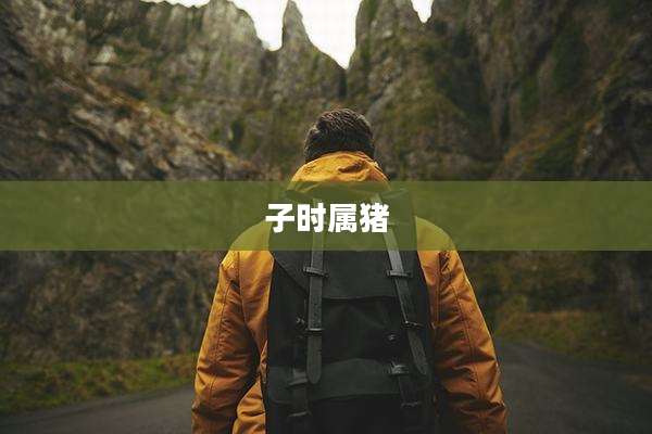 子时属猪