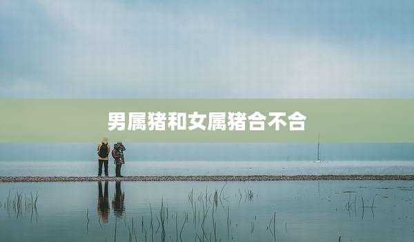 男属猪和女属猪合不合