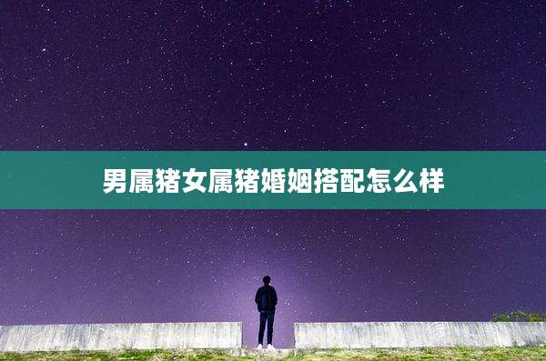 男属猪女属猪婚姻搭配怎么样